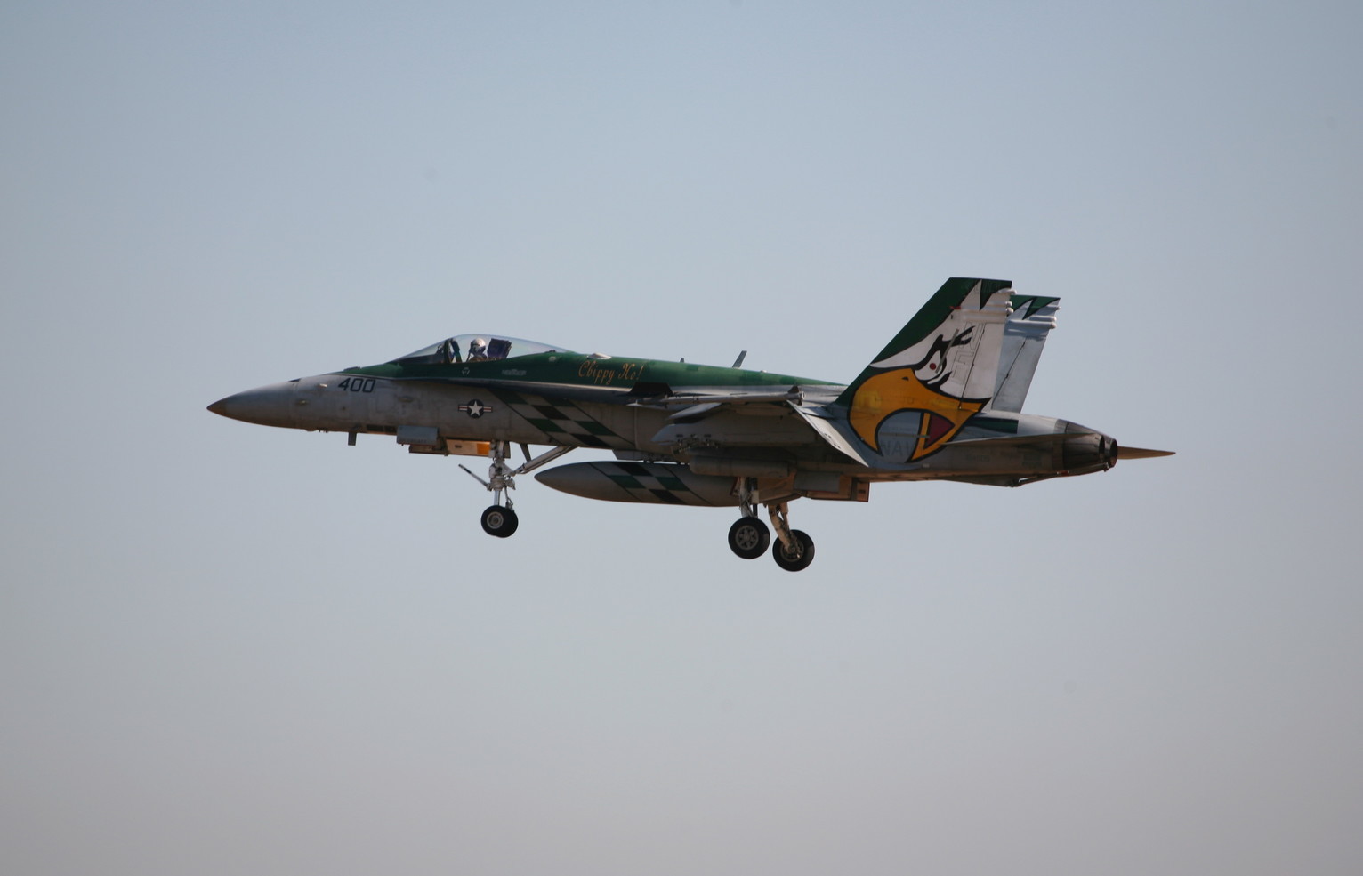 �A���o�g���X�̎G�L��