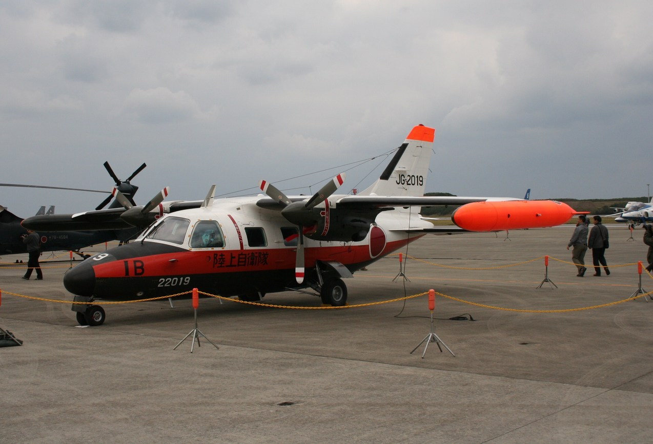 �A���o�g���X�̎G�L��