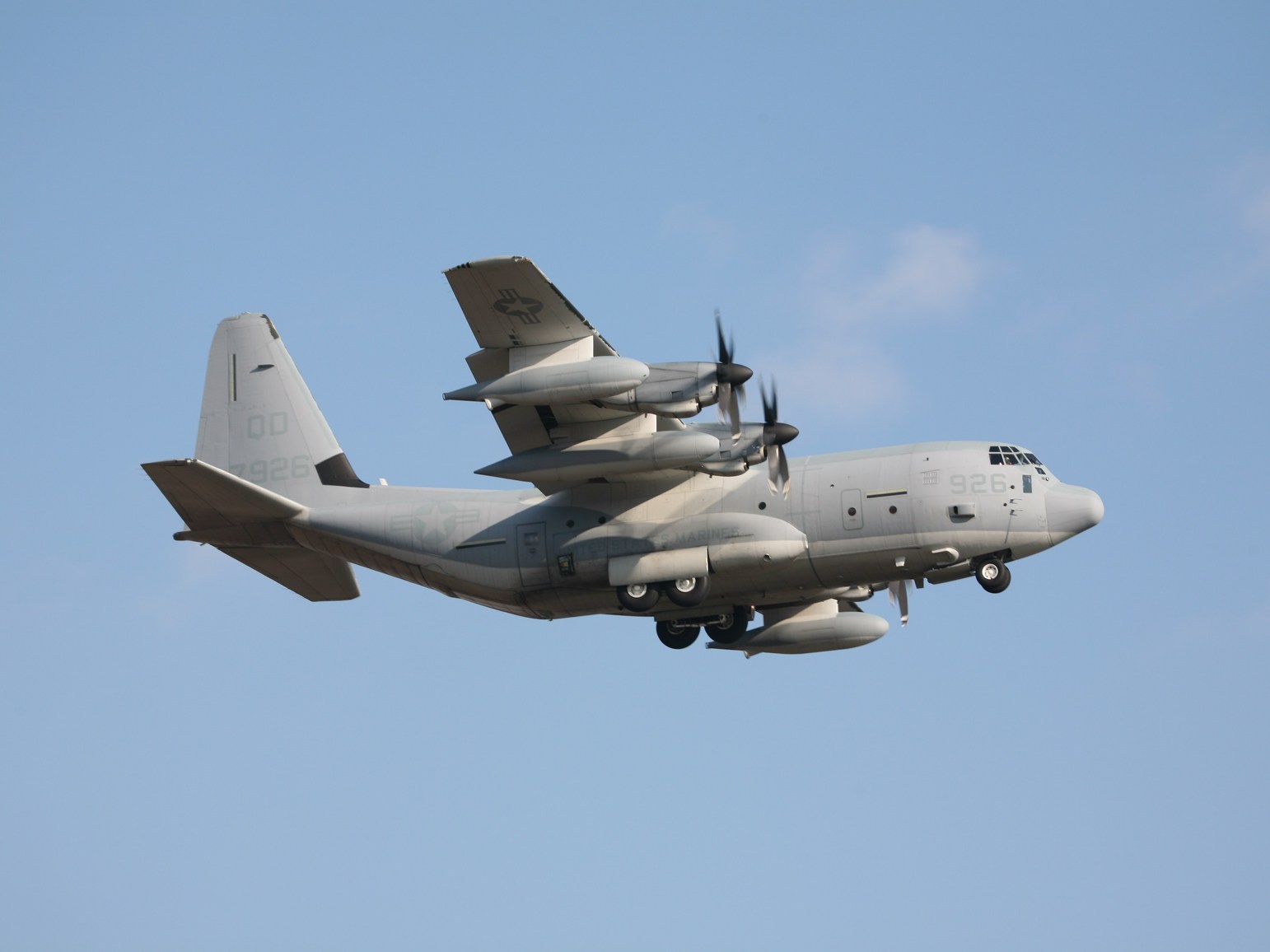 �A���o�g���X�̎G�L��