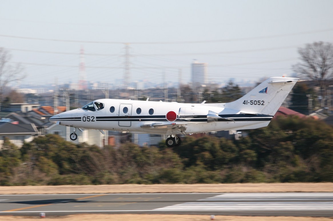 �A���o�g���X�̎G�L��