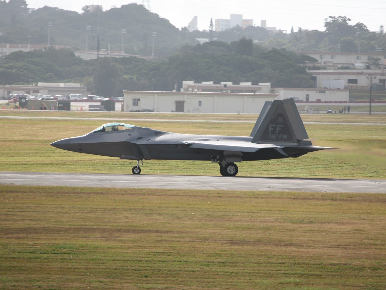 �A���o�g���X�̎G�L��