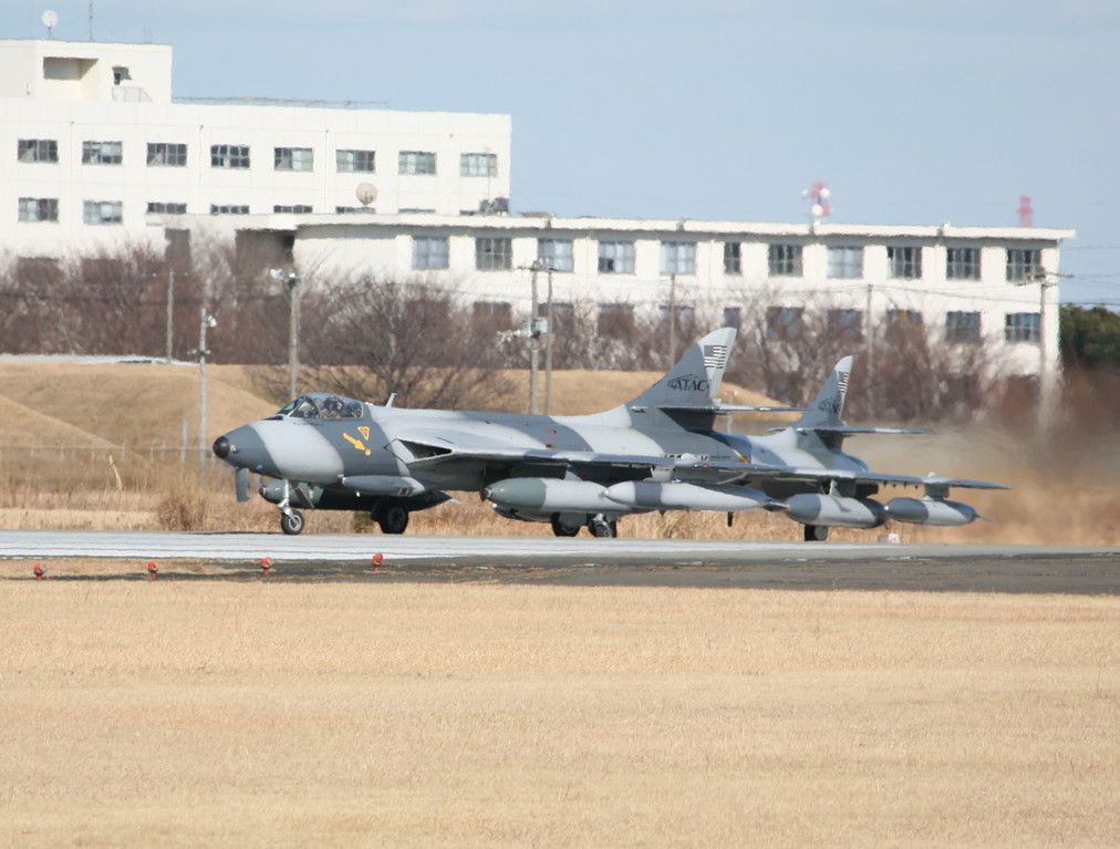 �A���o�g���X�̎G�L��