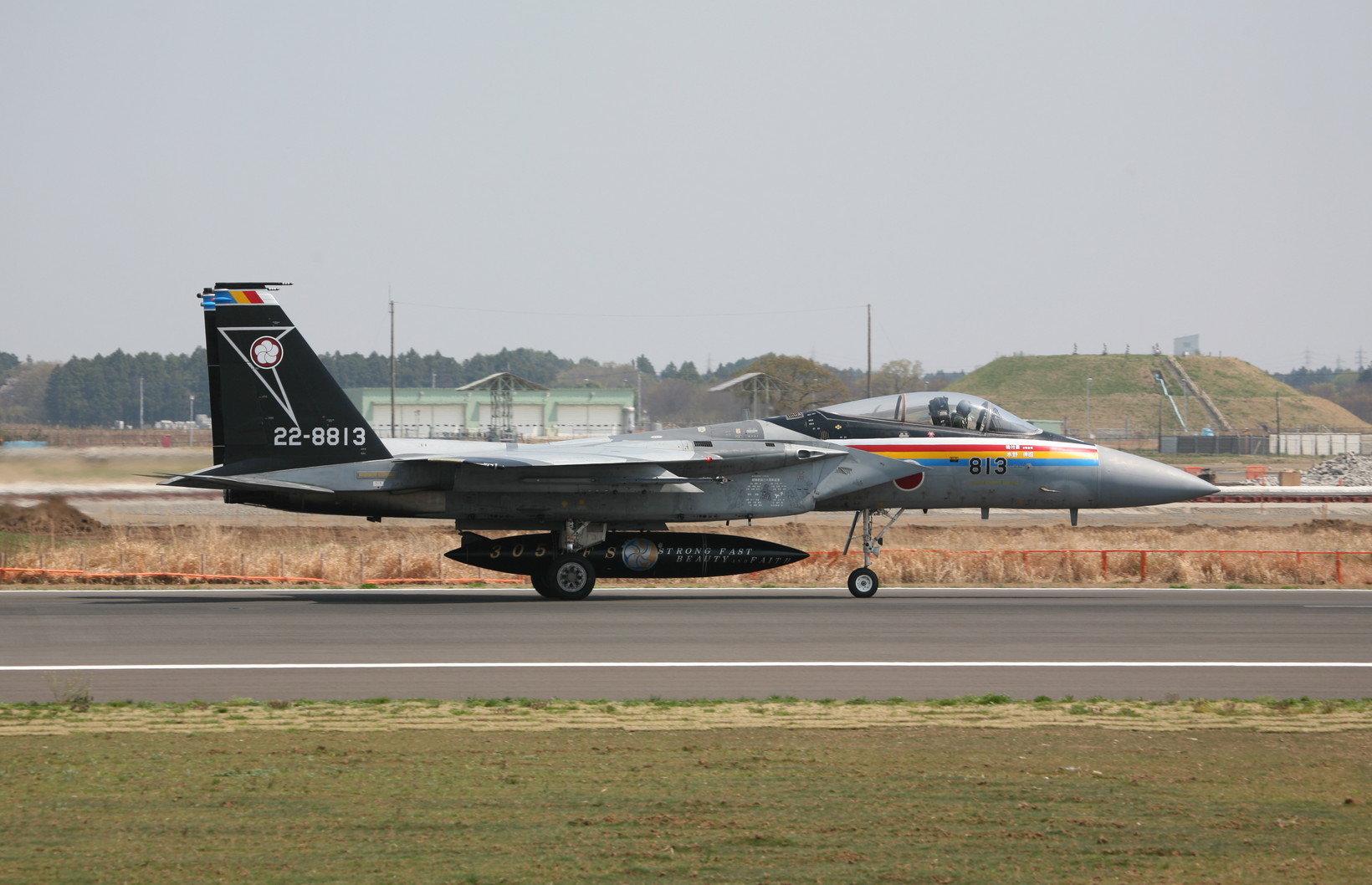 �A���o�g���X�̎G�L��