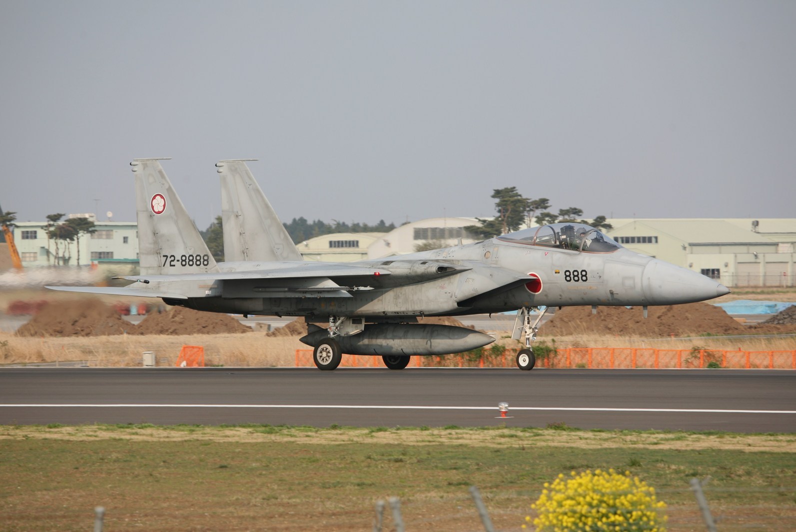 �A���o�g���X�̎G�L��