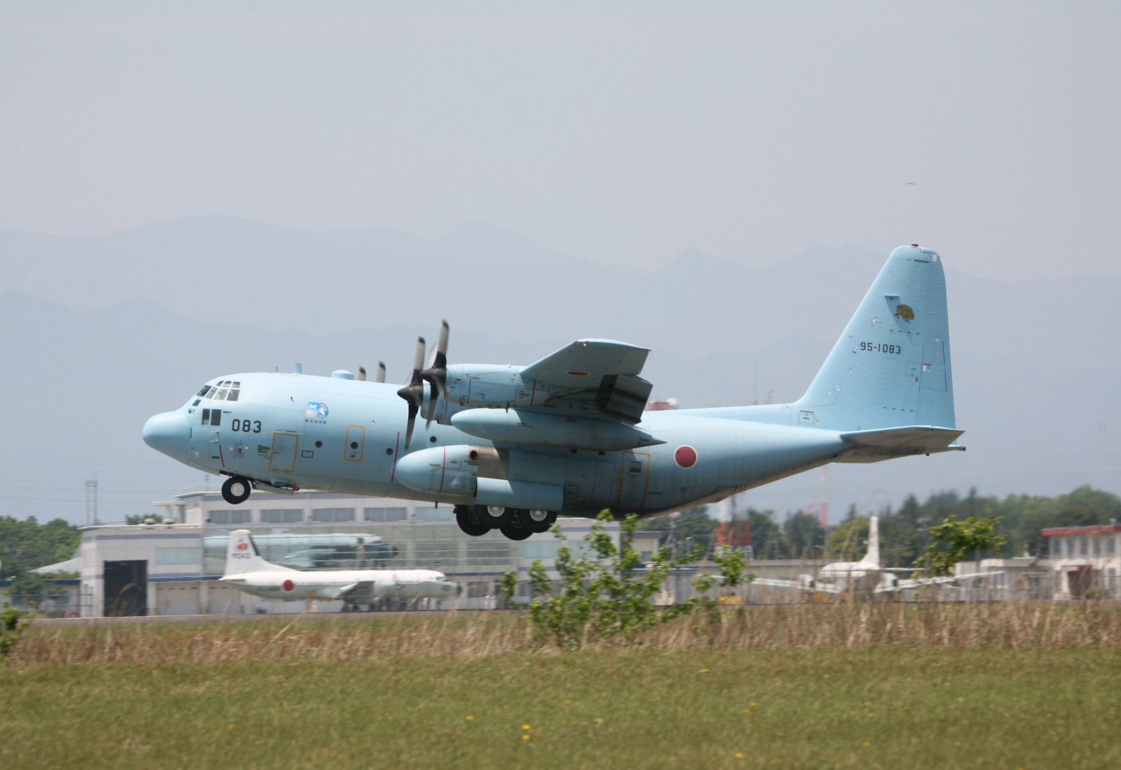 �A���o�g���X�̎G�L��