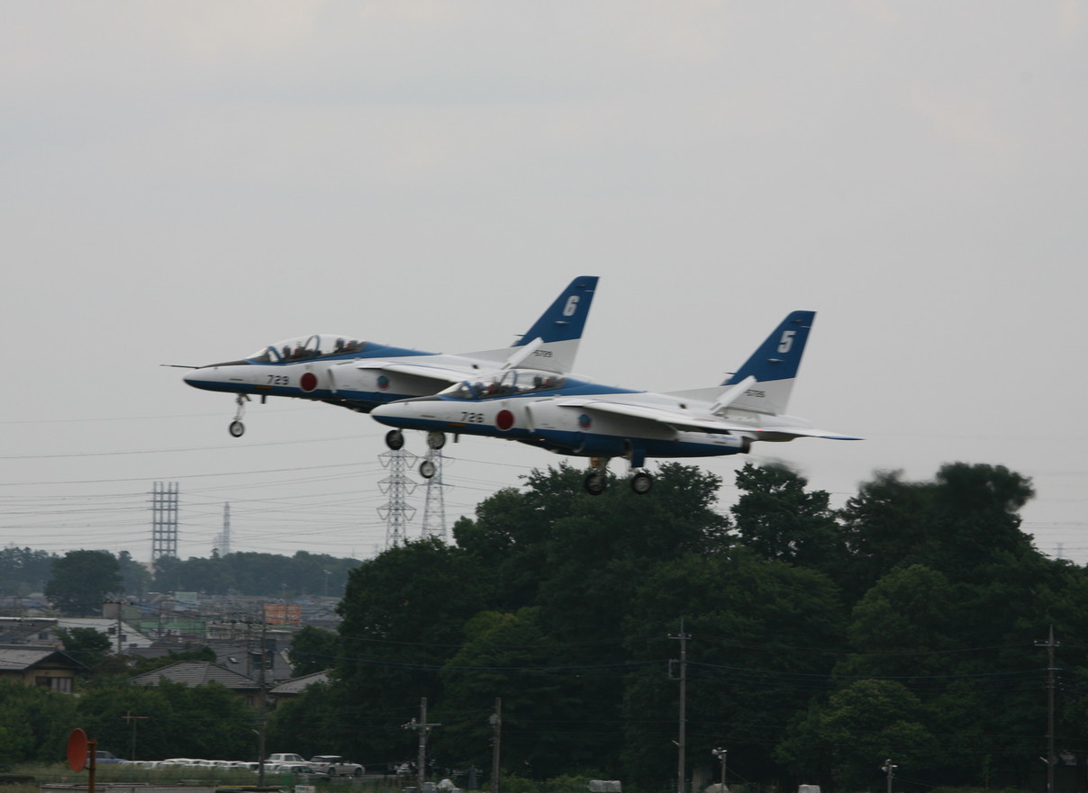 �A���o�g���X�̎G�L��