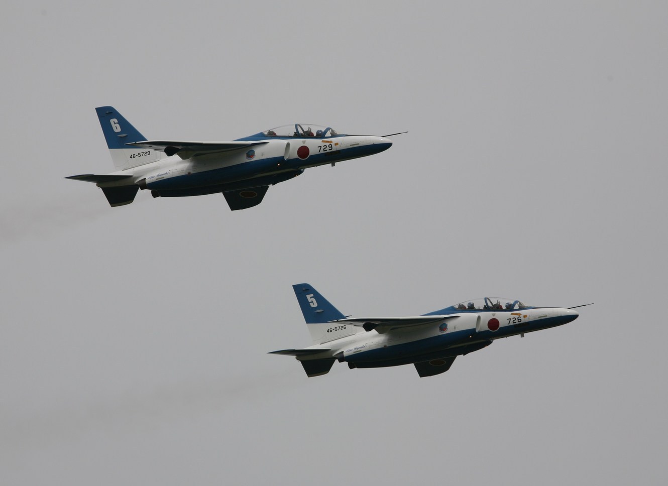 �A���o�g���X�̎G�L��