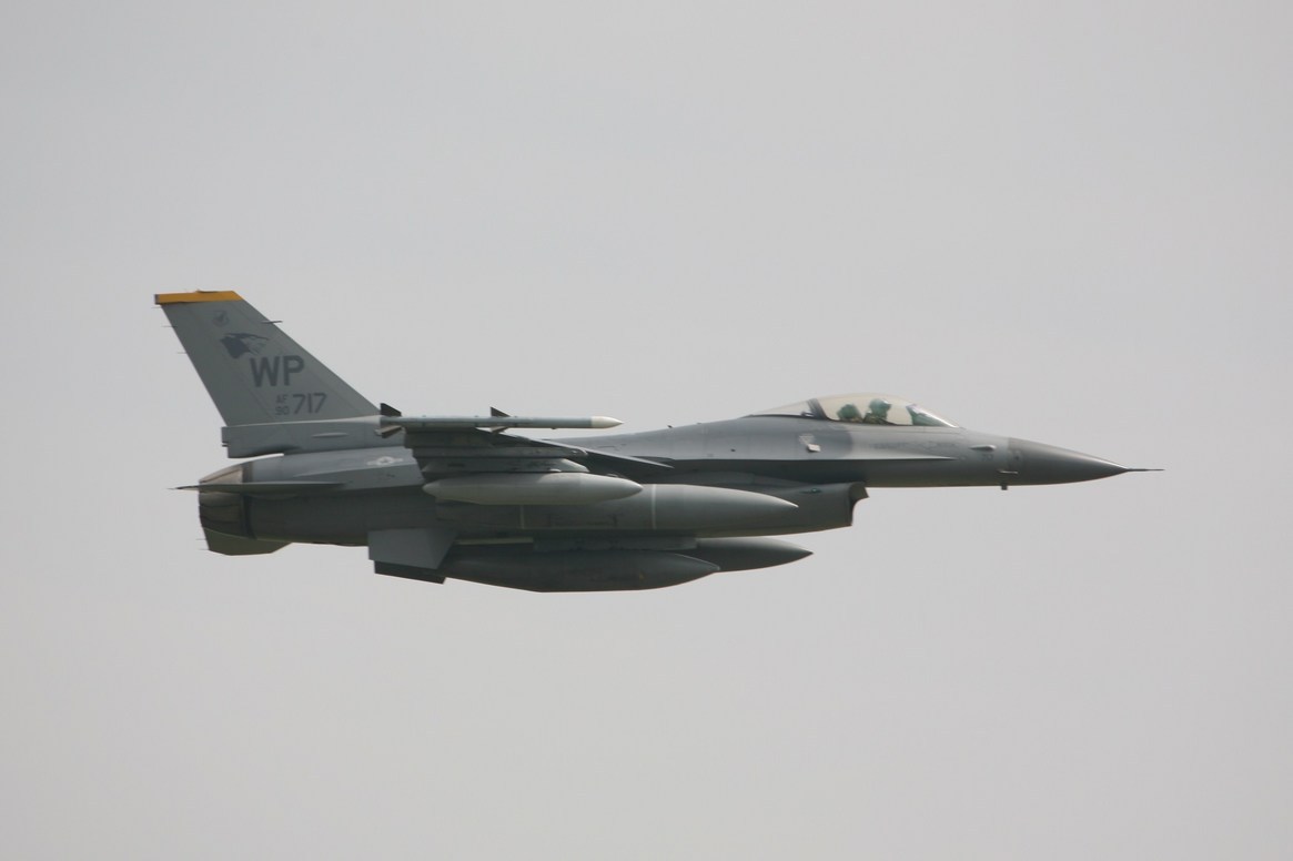 �A���o�g���X�̎G�L��