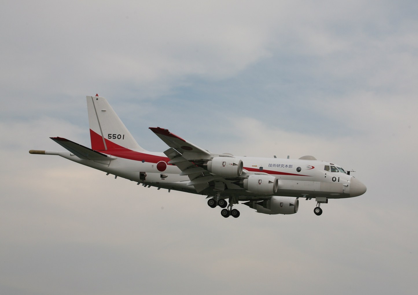 �A���o�g���X�̎G�L��