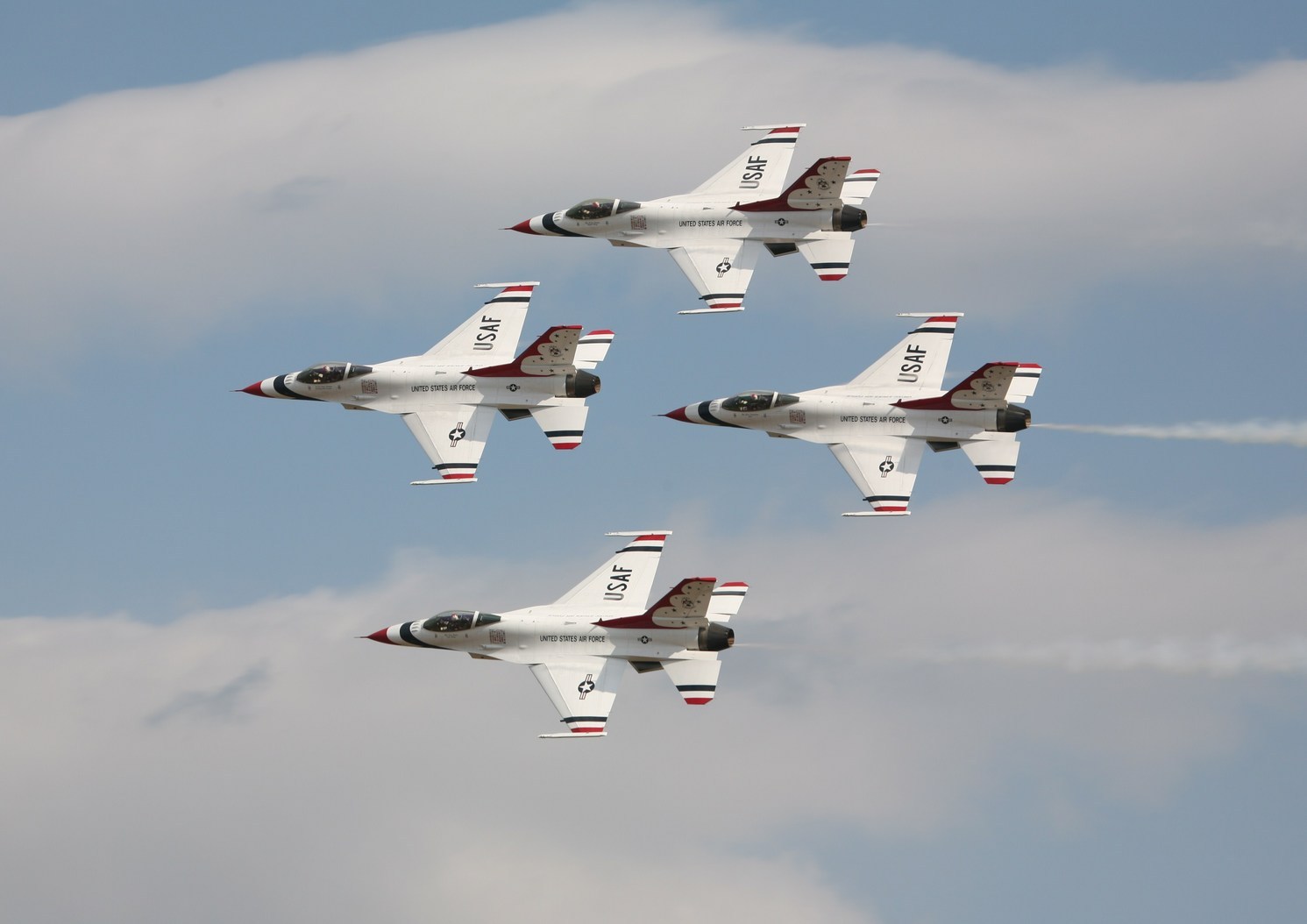 �A���o�g���X�̎G�L��