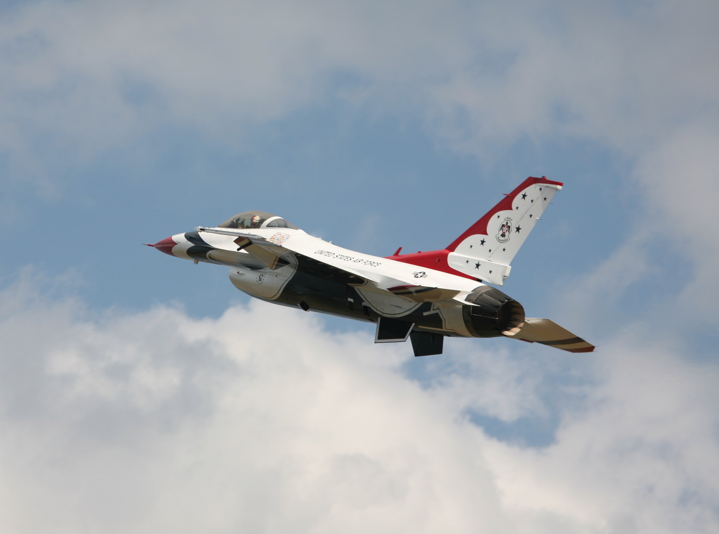 �A���o�g���X�̎G�L��