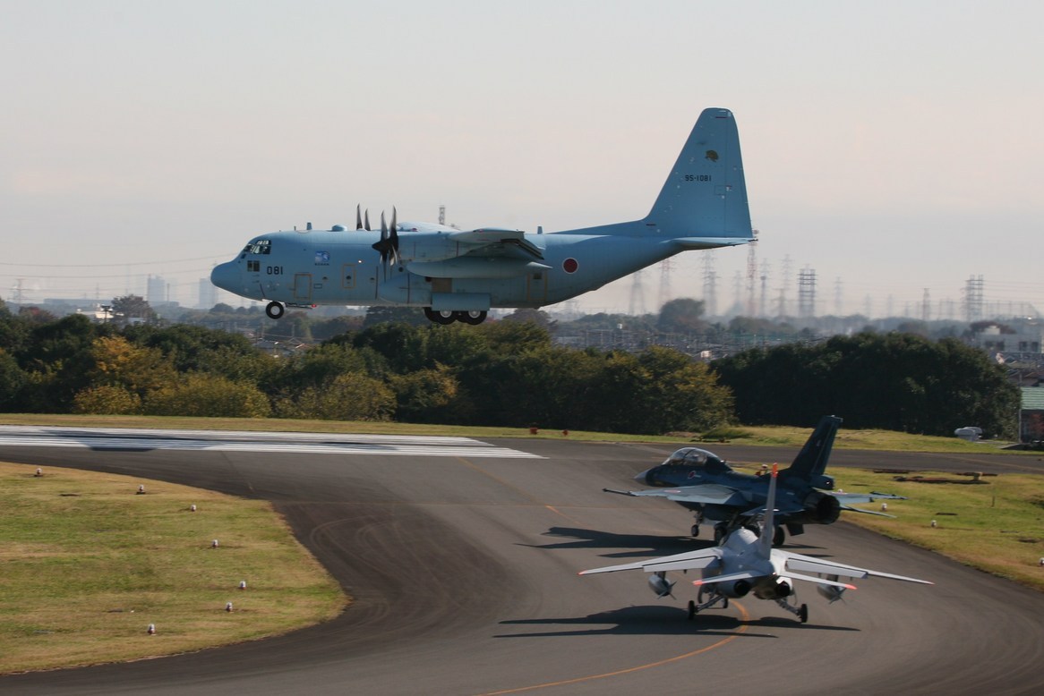 �A���o�g���X�̎G�L��