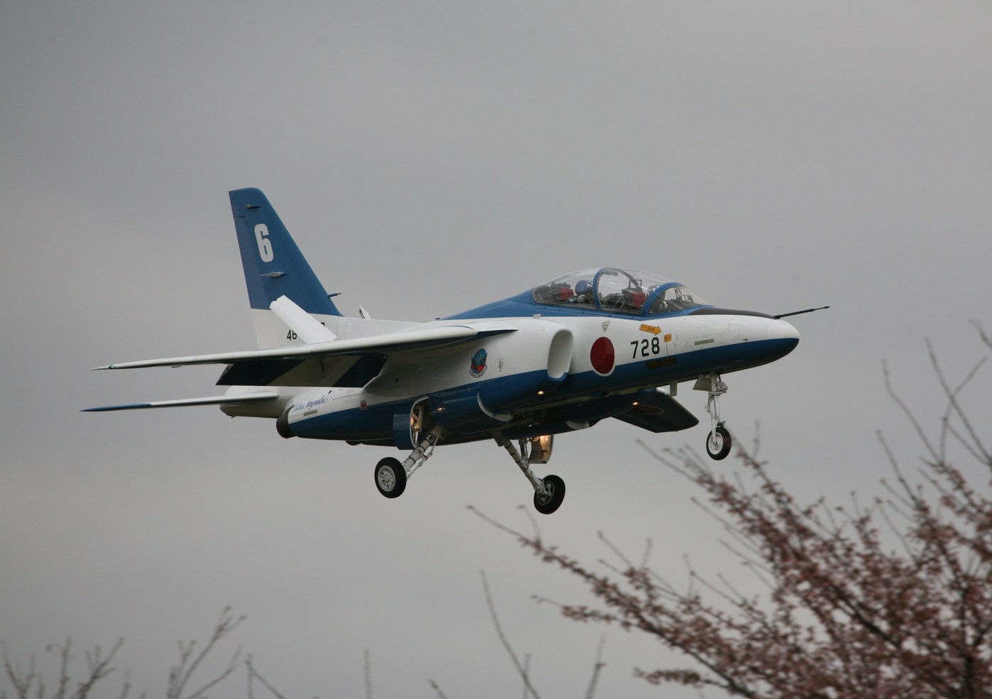 �A���o�g���X�̎G�L��