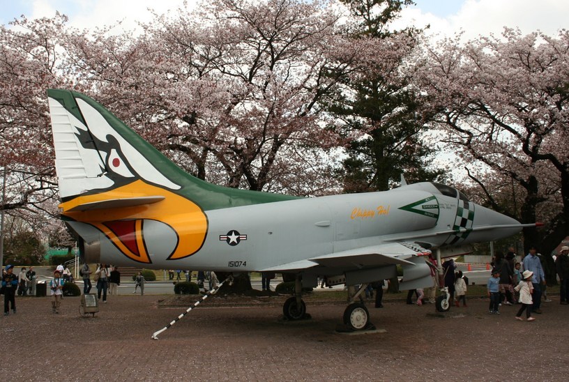 �A���o�g���X�̎G�L��