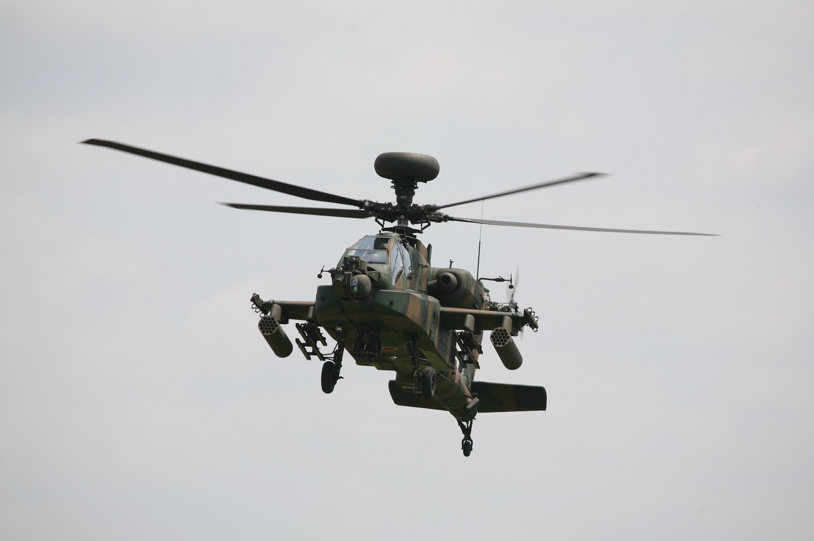 �A���o�g���X�̎G�L��