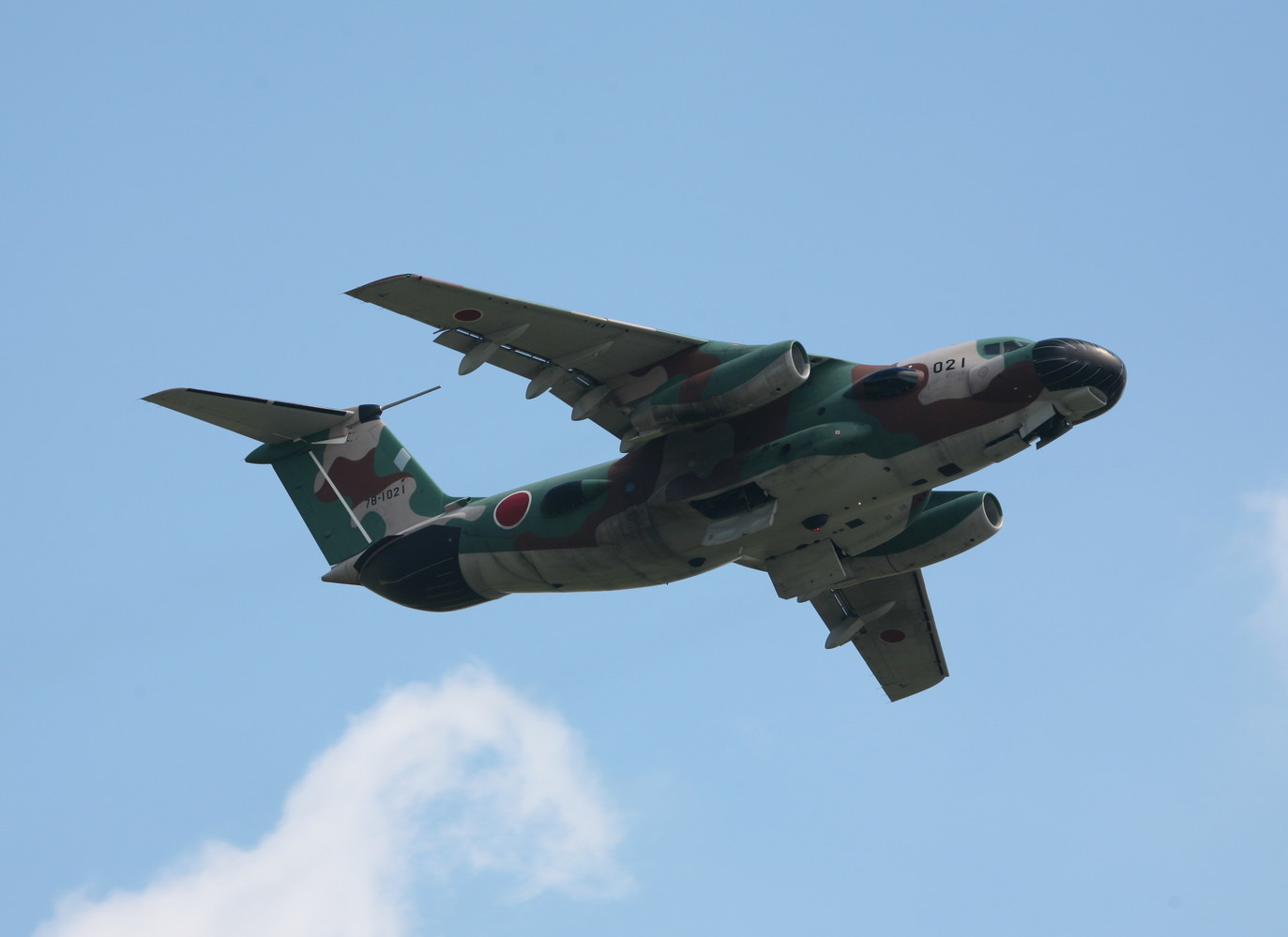 �A���o�g���X�̎G�L��