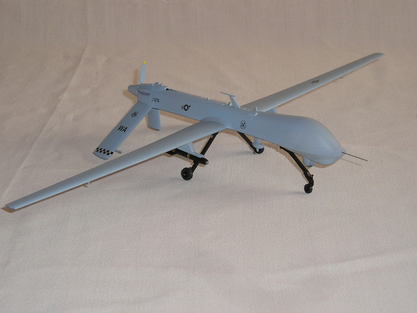 �A���o�g���X�̎G�L��