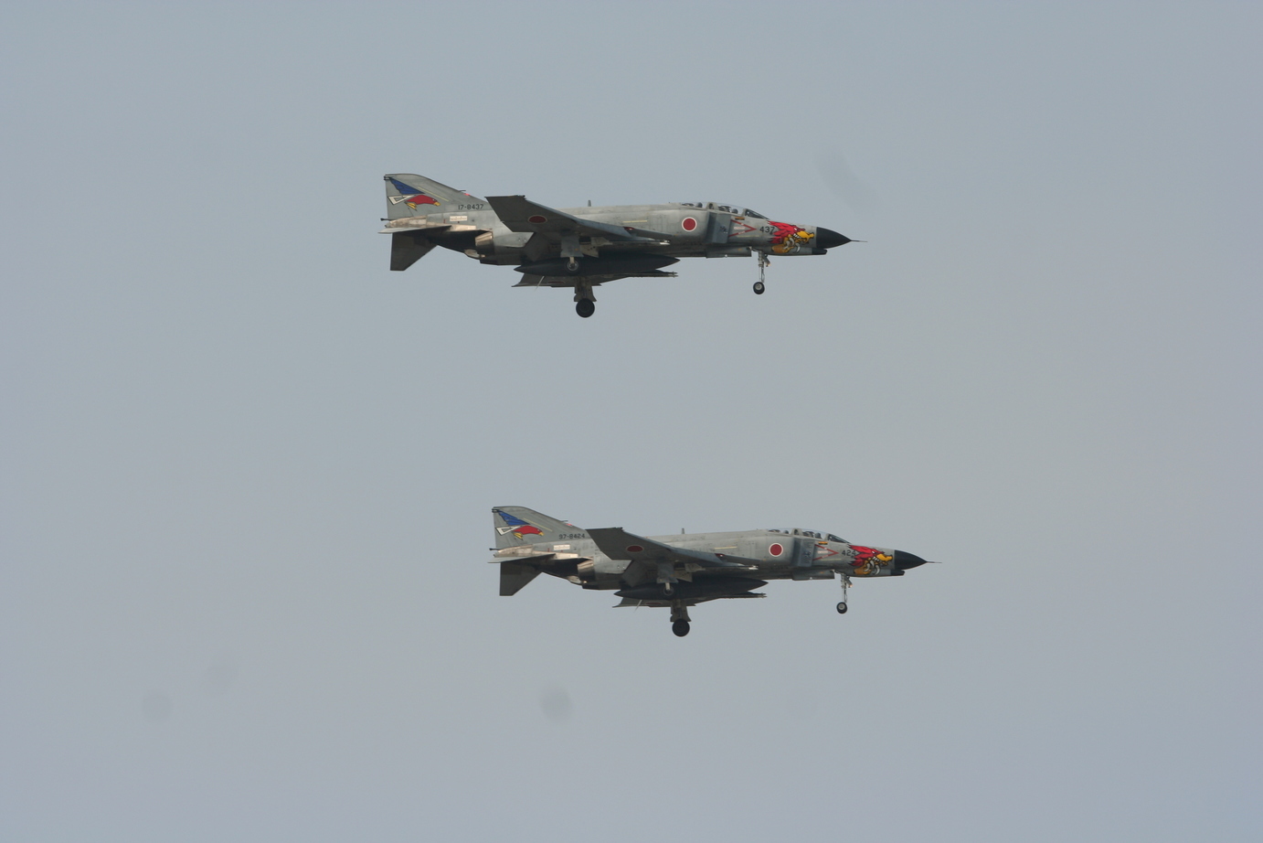 �A���o�g���X�̎G�L��