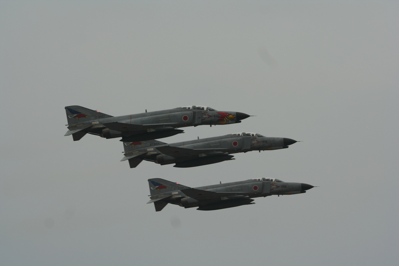 �A���o�g���X�̎G�L��