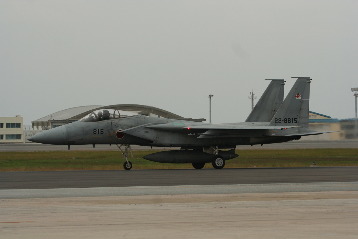 �A���o�g���X�̎G�L��