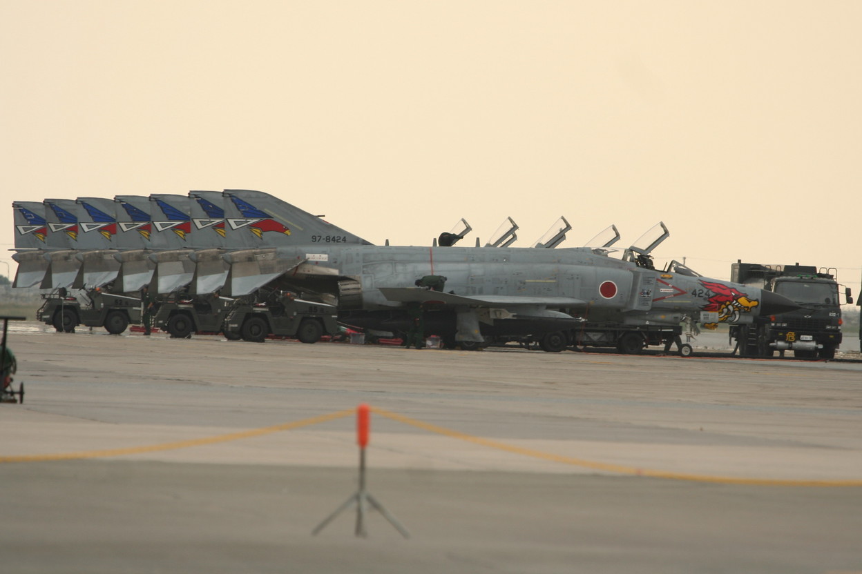 �A���o�g���X�̎G�L��