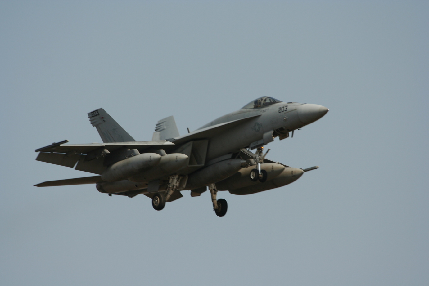 �A���o�g���X�̎G�L��