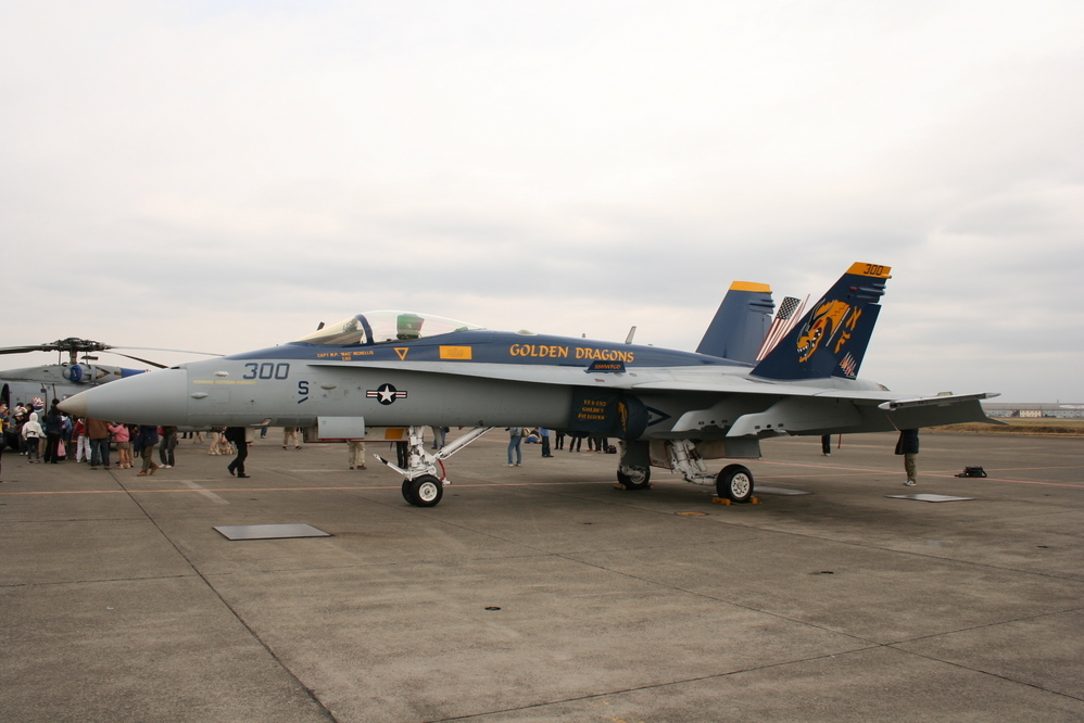 �A���o�g���X�̎G�L��