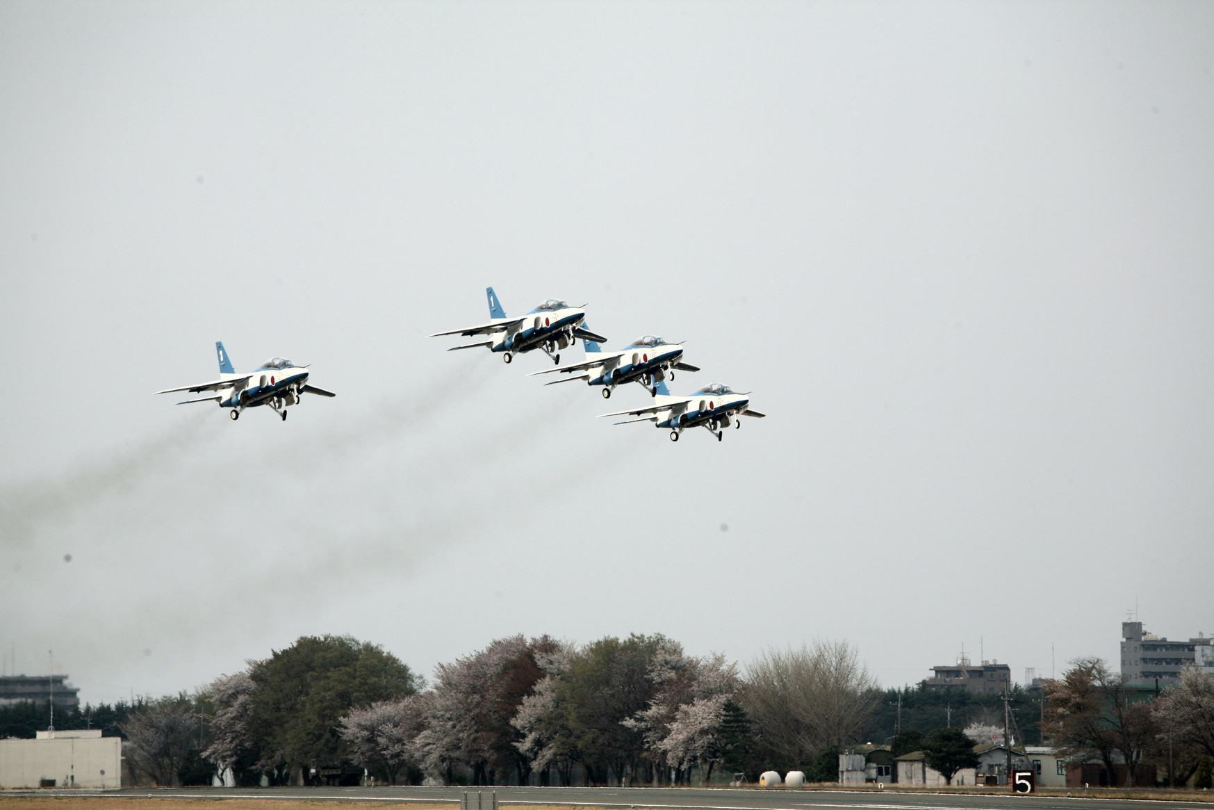 �A���o�g���X�̎G�L��