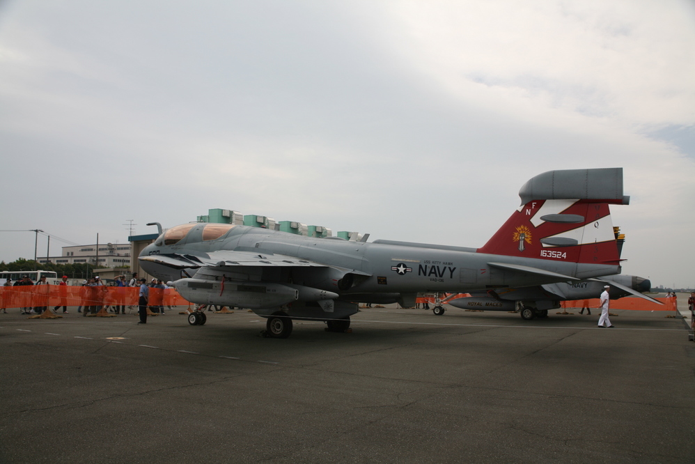 �A���o�g���X�̎G�L��