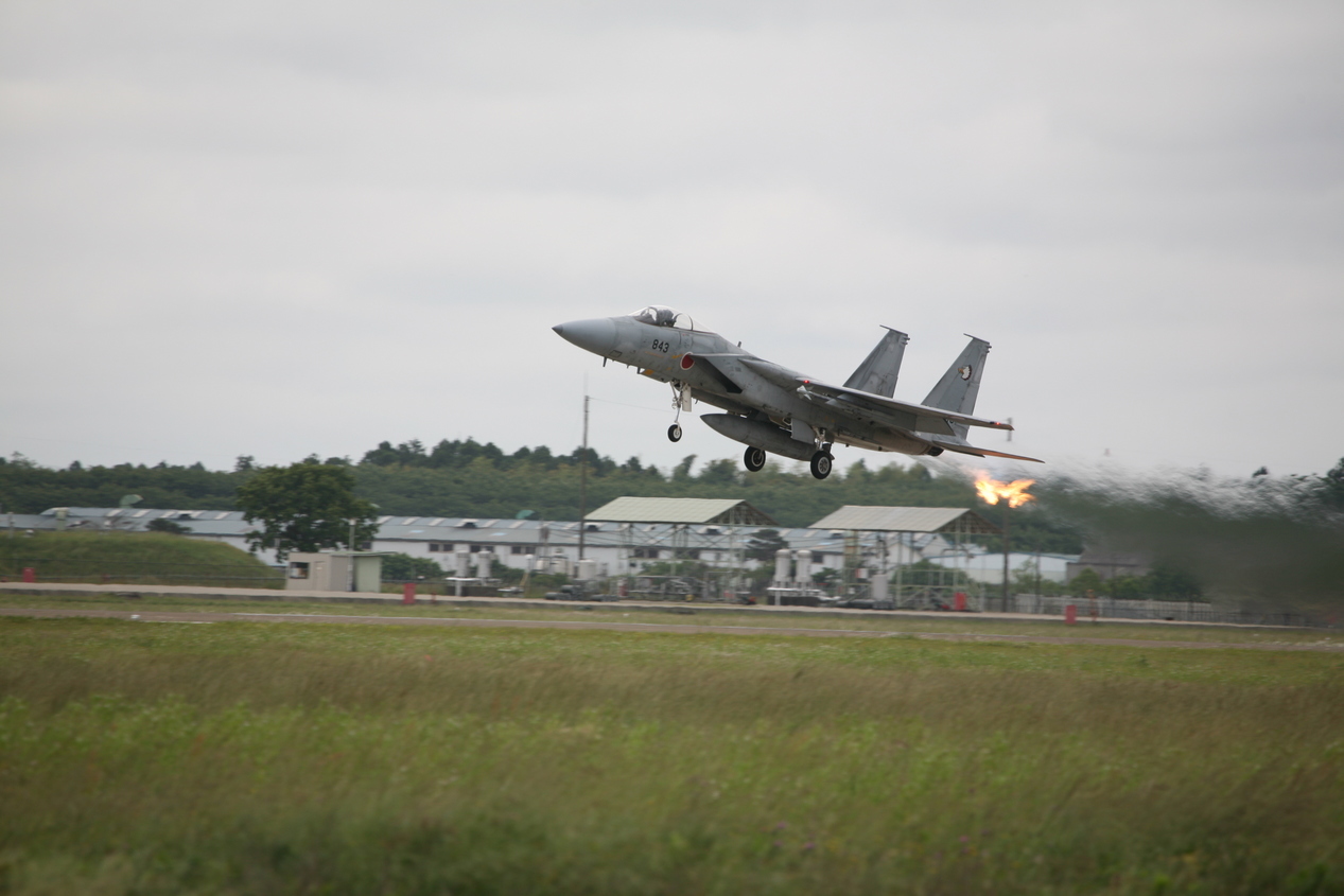 �A���o�g���X�̎G�L��