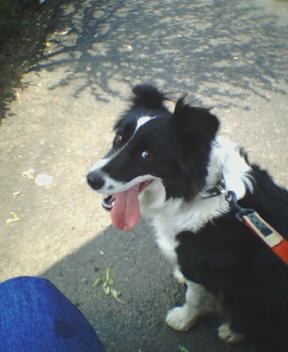 ������[�̕���