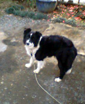 ������[�̕���