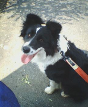 ������[�̕���