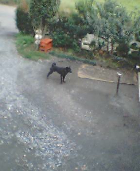 ������[�̕���