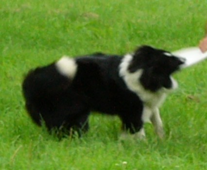 ������[�̕���