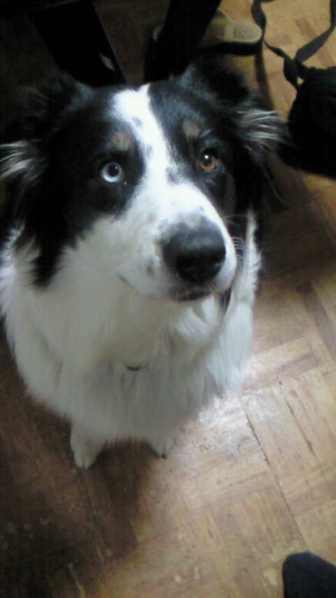 �������ӂ�X�C�}�[