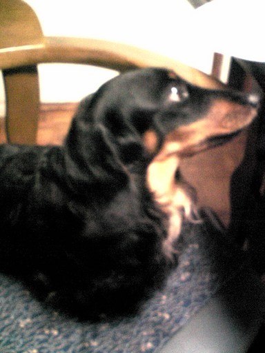 �������ӂ�X�C�}�[