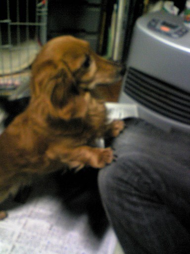 �������ӂ�X�C�}�[