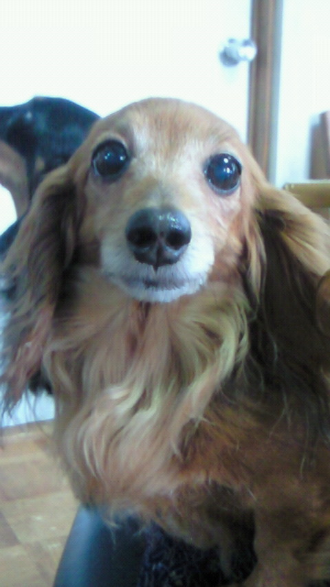 �������ӂ�X�C�}�[