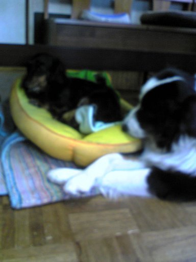 �������ӂ�X�C�}�[