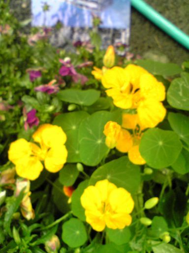 �������ӂ�X�C�}�[