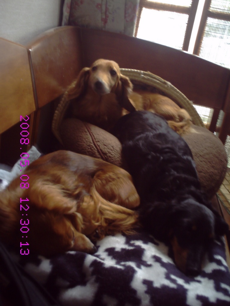 �������ӂ�X�C�}�[