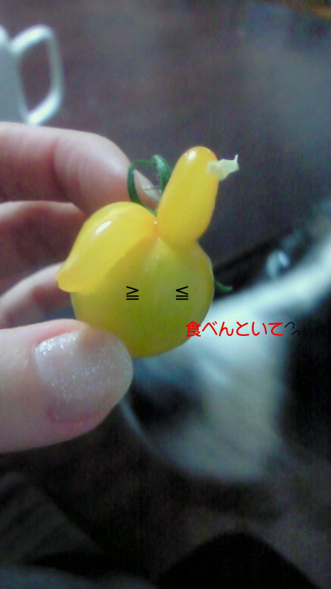 �������ӂ�X�C�}�[