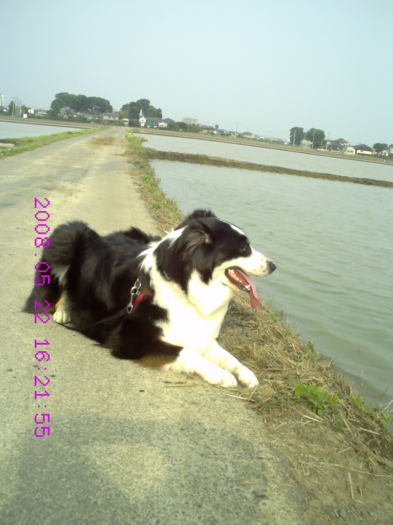 �������ӂ�X�C�}�[