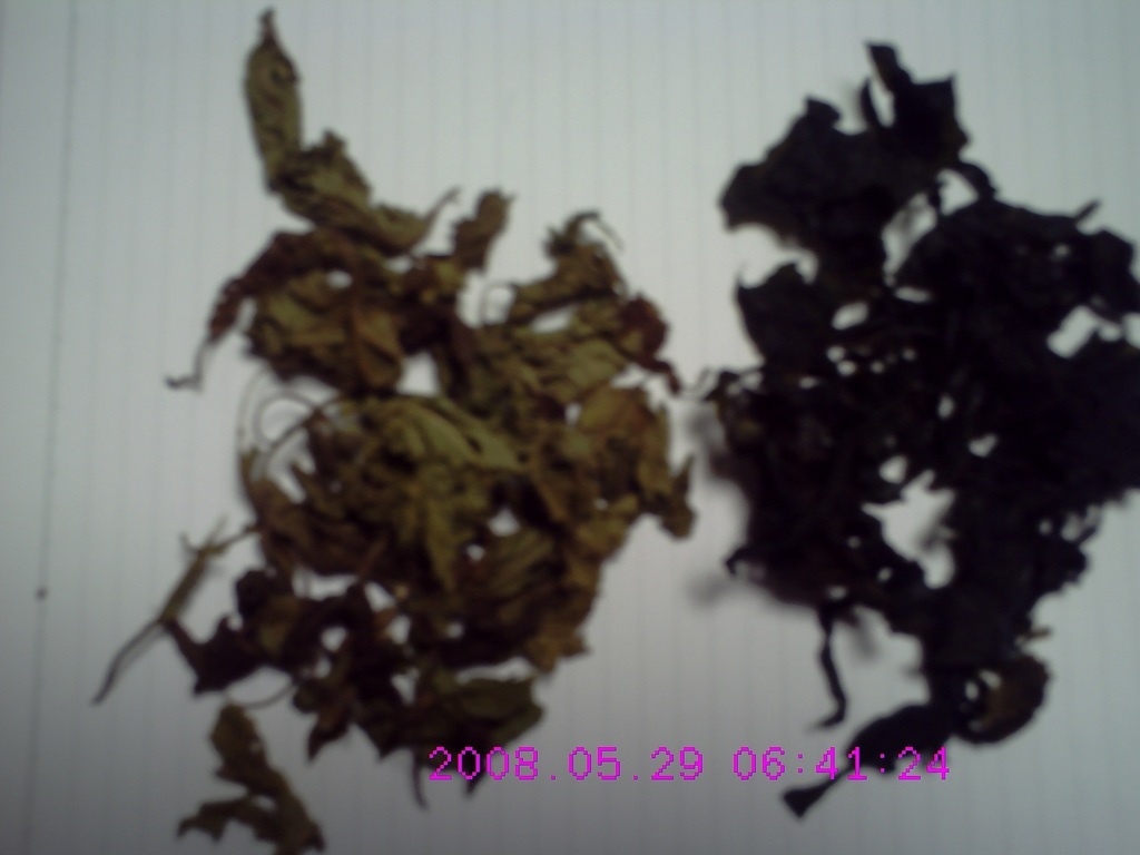 �������ӂ�X�C�}�[