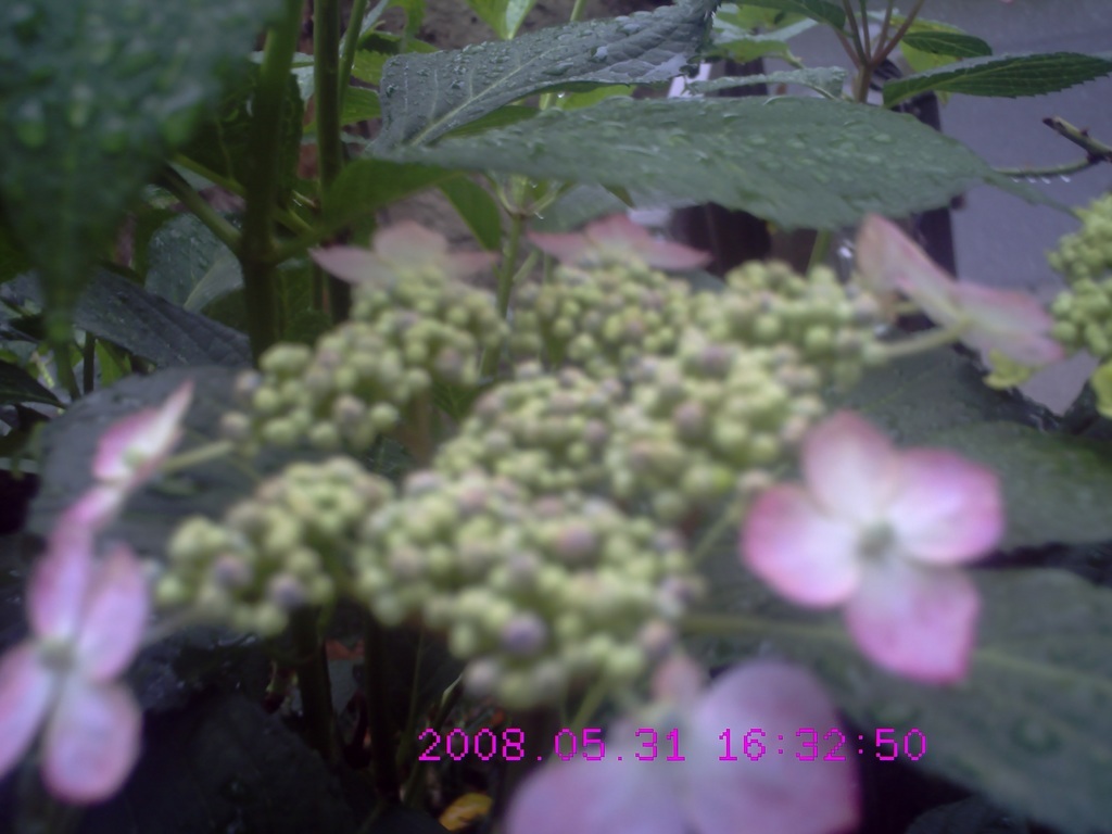 �������ӂ�X�C�}�[