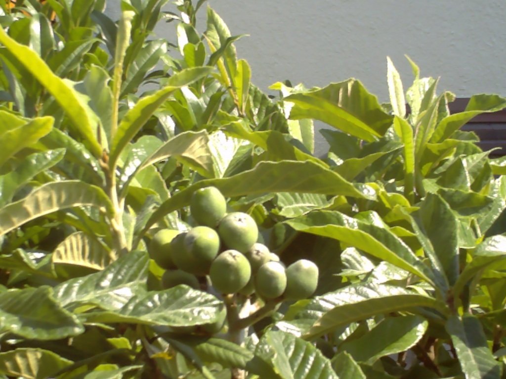 �������ӂ�X�C�}�[