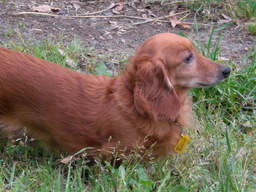 �������ӂ�X�C�}�[