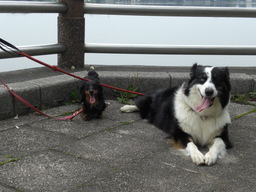 �������ӂ�X�C�}�[