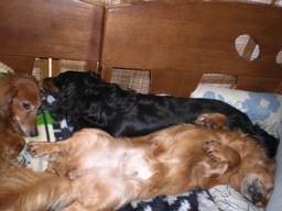 �������ӂ�X�C�}�[